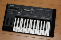 YAMAHA KX25